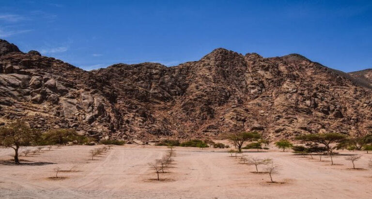Battle of Uhud