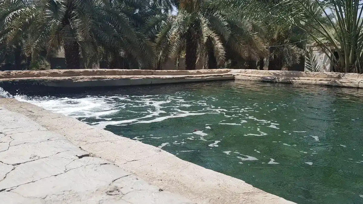 Garden of Salman Farsi